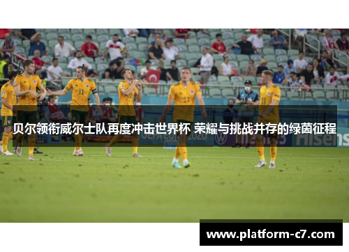 贝尔领衔威尔士队再度冲击世界杯 荣耀与挑战并存的绿茵征程 贝尔领衔威尔士队再度冲击世界杯 荣耀与挑战并存的绿茵征程
