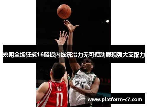 姚明全场狂揽16篮板内线统治力无可撼动展现强大支配力 姚明全场狂揽16篮板内线统治力无可撼动展现强大支配力