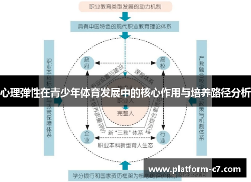 心理弹性在青少年体育发展中的核心作用与培养路径分析 心理弹性在青少年体育发展中的核心作用与培养路径分析