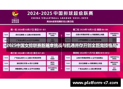 2025中国女排联赛新篇章挑战与机遇并存开创全新竞技格局