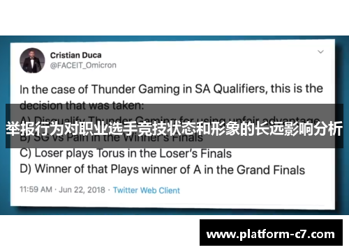 举报行为对职业选手竞技状态和形象的长远影响分析