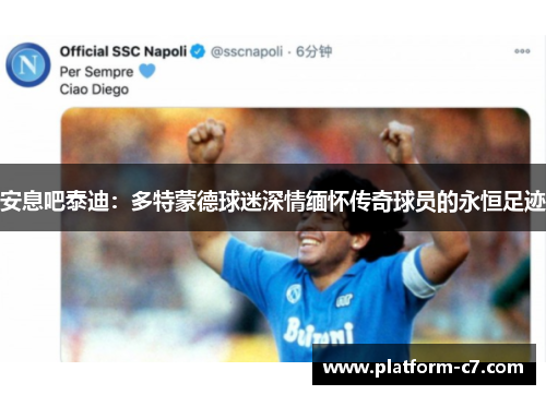 安息吧泰迪:多特蒙德球迷深情缅怀传奇球员的永恒足迹 安息吧泰迪:多特蒙德球迷深情缅怀传奇球员的永恒足迹