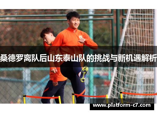 桑德罗离队后山东泰山队的挑战与新机遇解析 桑德罗离队后山东泰山队的挑战与新机遇解析
