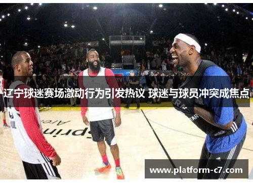 辽宁球迷赛场激动行为引发热议 球迷与球员冲突成焦点 辽宁球迷赛场激动行为引发热议 球迷与球员冲突成焦点