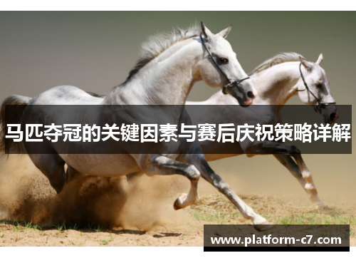 马匹夺冠的关键因素与赛后庆祝策略详解 马匹夺冠的关键因素与赛后庆祝策略详解