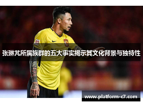 张琳芃所属族群的五大事实揭示其文化背景与独特性