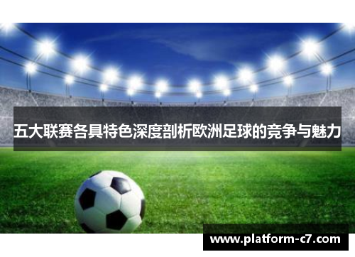 五大联赛各具特色深度剖析欧洲足球的竞争与魅力 五大联赛各具特色深度剖析欧洲足球的竞争与魅力