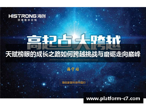 天赋榜眼的成长之路如何跨越挑战与磨砺走向巅峰