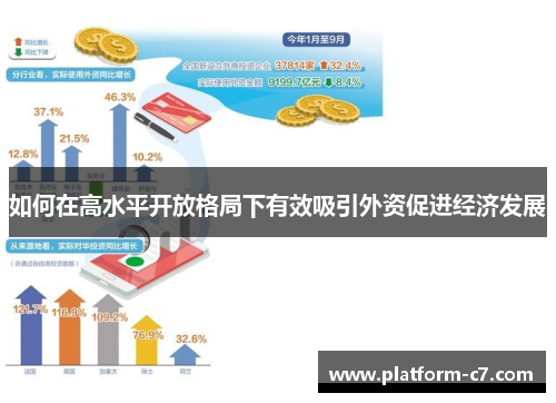 如何在高水平开放格局下有效吸引外资促进经济发展